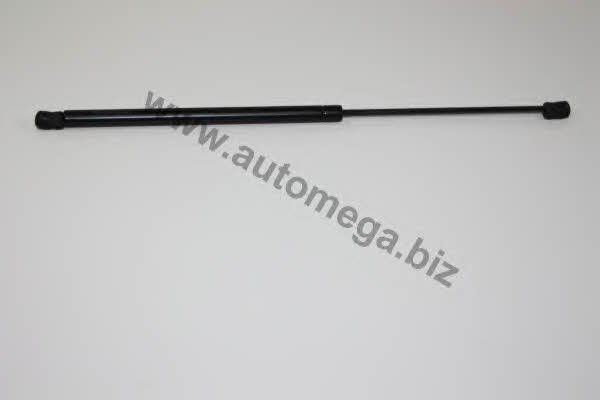 AutoMega 30102320189 Пружина газова багажника 30102320189: Купити в Україні - Добра ціна на EXIST.UA!