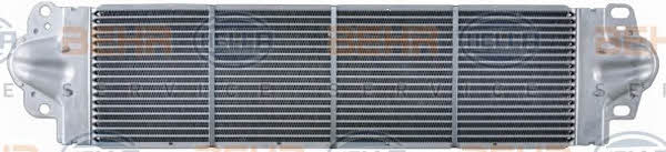 Интеркулер Behr-Hella 8ML 376 723-511