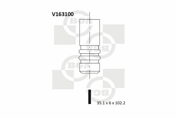 BGA V163100 Клапан впускний V163100: Приваблива ціна - Купити в Україні на EXIST.UA!