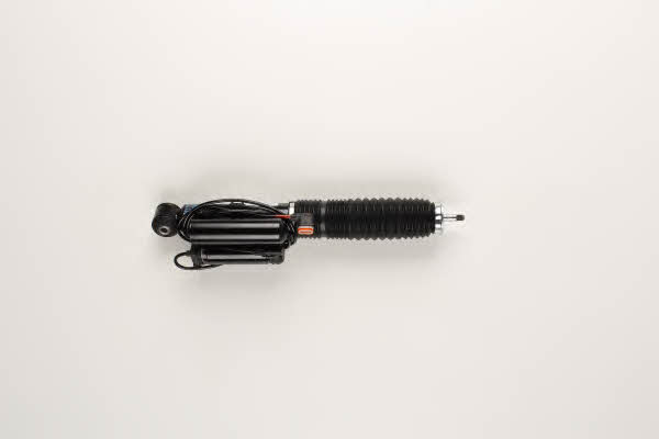 Купить Bilstein 26-220055 по низкой цене в Украине!