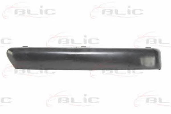Накладка бамперу Blic 6502-07-2533921P