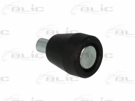 6003000023P Blic Ролик дверей сдвижных