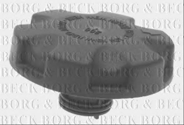Borg & beck BRC125 Кришка радіатора BRC125: Купити в Україні - Добра ціна на EXIST.UA!
