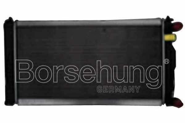 Borsehung B14501 Радіатор охолодження двигуна B14501: Приваблива ціна - Купити в Україні на EXIST.UA!