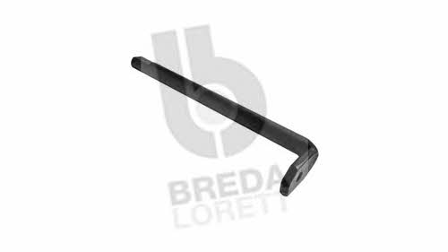 Breda lorett TOA3991 Натягувач ременя приводного TOA3991: Купити в Україні - Добра ціна на EXIST.UA!