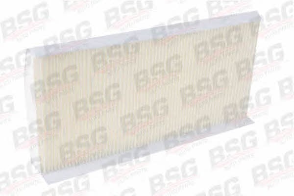 BSG 30-145-003 Фильтр салона 30145003: Купить в Украине - Отличная цена на EXIST.UA!