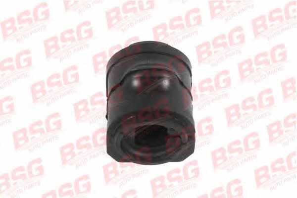 BSG 30-700-265 Втулка стабілізатора переднього 30700265: Купити в Україні - Добра ціна на EXIST.UA!