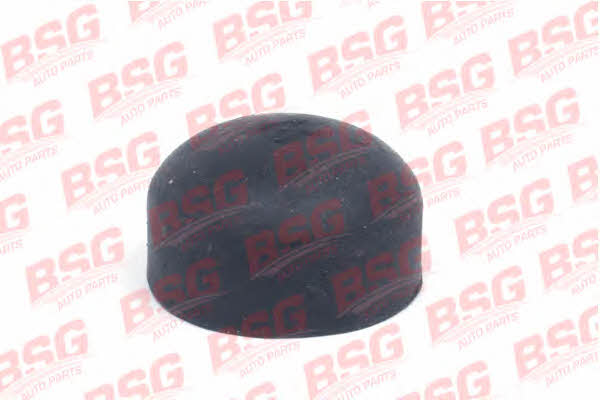 BSG 30-700-366 Демпфер гумовий 30700366: Купити в Україні - Добра ціна на EXIST.UA!