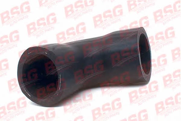 BSG 30-720-099 Патрубок турбокомпресора 30720099: Купити в Україні - Добра ціна на EXIST.UA!