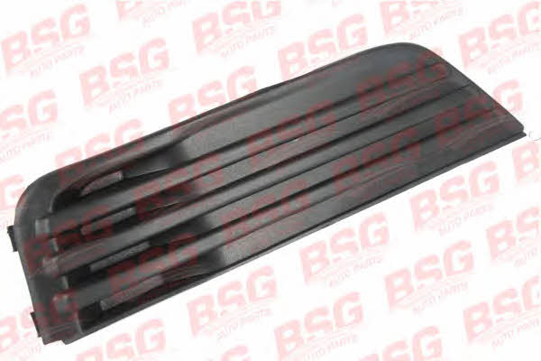 BSG 30-921-004 Облицювання переднього бампера 30921004: Купити в Україні - Добра ціна на EXIST.UA!