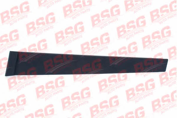 BSG 30-925-001 Облицювання захисна накладка, скло двері 30925001: Купити в Україні - Добра ціна на EXIST.UA!