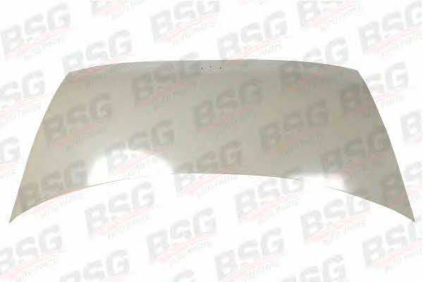 BSG 30-930-001 Капот 30930001: Купити в Україні - Добра ціна на EXIST.UA!