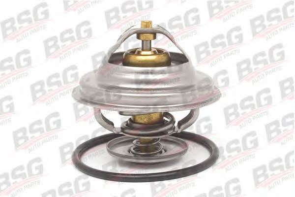 BSG 60-125-001 Термостат 60125001: Купити в Україні - Добра ціна на EXIST.UA!