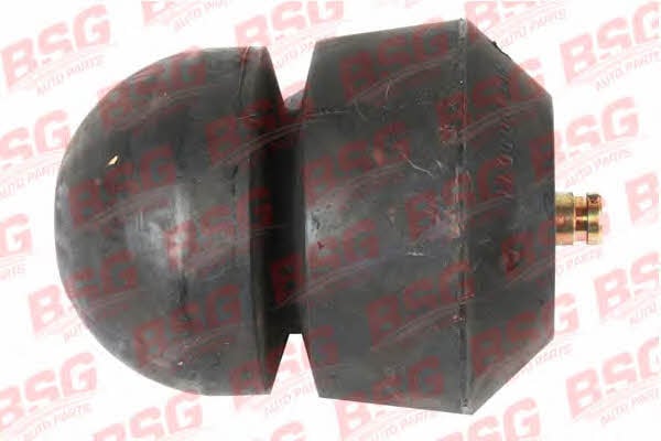 60700069 BSG Втулка подшипника, серьга рессоры - кронштейн рессоры