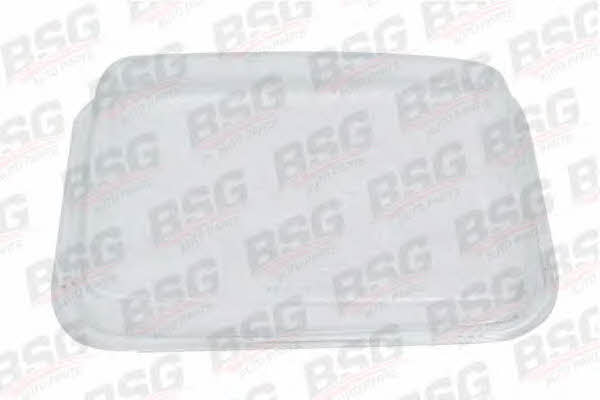 BSG 60-801-005 Скло фари основний 60801005: Купити в Україні - Добра ціна на EXIST.UA!