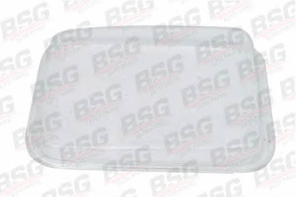 BSG 60-801-006 Скло фари основний 60801006: Купити в Україні - Добра ціна на EXIST.UA!