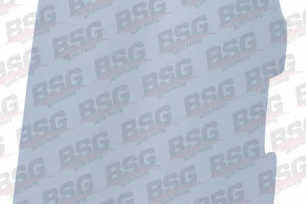 BSG 65-922-004 Заглушка буксирувального гака 65922004: Купити в Україні - Добра ціна на EXIST.UA!