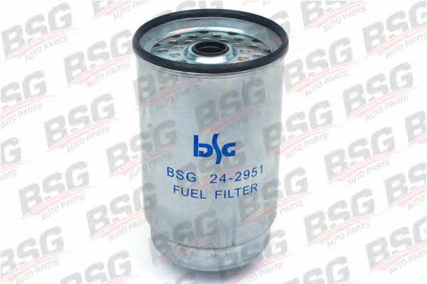 BSG 30-130-001 Фільтр палива 30130001: Купити в Україні - Добра ціна на EXIST.UA!