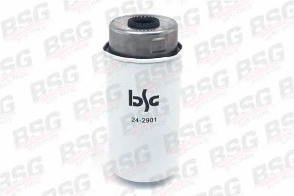 BSG 30-130-011 Фільтр палива 30130011: Купити в Україні - Добра ціна на EXIST.UA!
