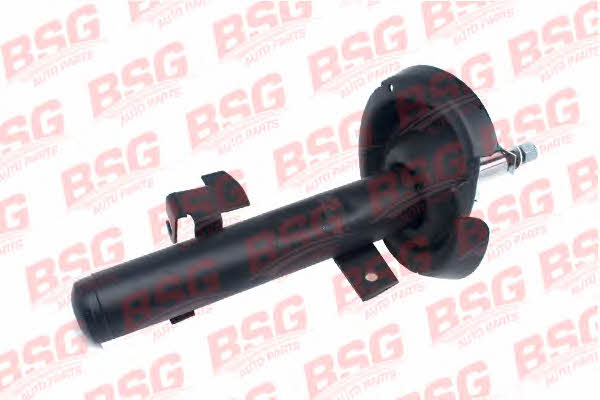 BSG 30-300-033 Амортизатор підвіски передній лівий газомасляний 30300033: Купити в Україні - Добра ціна на EXIST.UA!