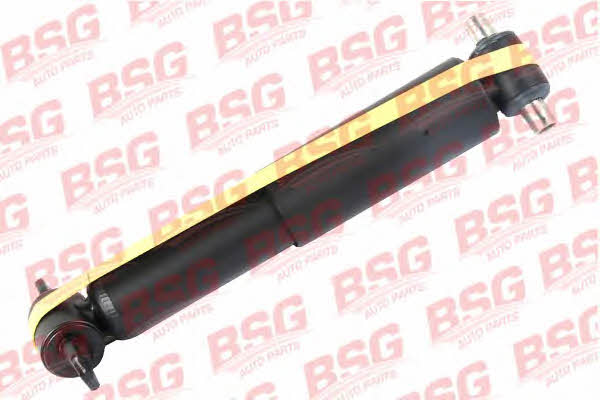 BSG 30-300-041 Амортизатор підвіски передній газомасляний 30300041: Купити в Україні - Добра ціна на EXIST.UA!