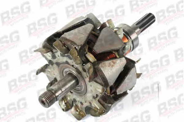 BSG 30-826-008 Ротор генератора 30826008: Купити в Україні - Добра ціна на EXIST.UA!