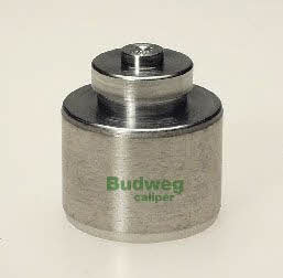 Budweg 233807 Поршень гальмівного супорту 233807: Купити в Україні - Добра ціна на EXIST.UA!