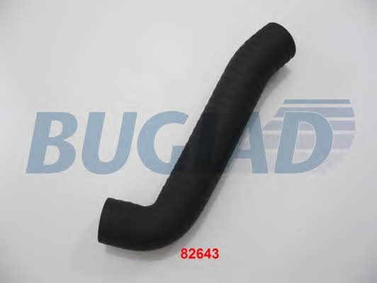 Bugiad 82643 Патрубок турбокомпресора 82643: Купити в Україні - Добра ціна на EXIST.UA!