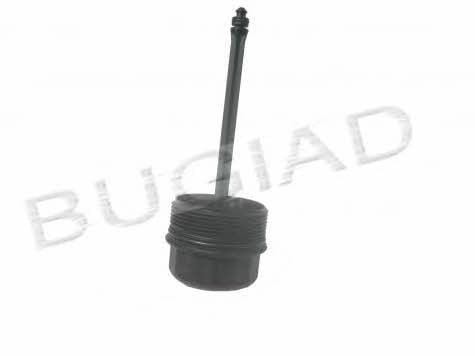 Bugiad BSP21660 Кришка фільтра масляного BSP21660: Купити в Україні - Добра ціна на EXIST.UA!