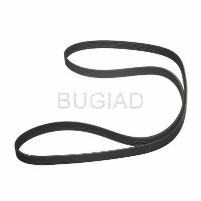 Bugiad BSP23128 Ремінь поліклиновий 6PK1660 BSP23128: Купити в Україні - Добра ціна на EXIST.UA!