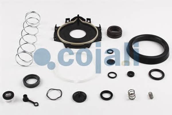 Купить Cojali 6032126 – отличная цена на EXIST.UA!