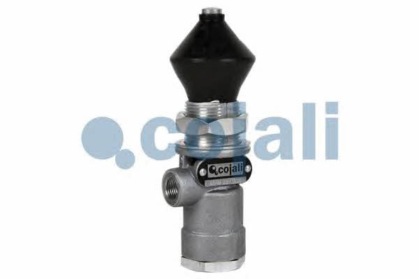 2213200 Cojali Клапан многопозиционный