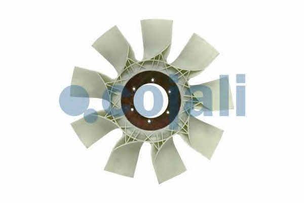 Купить Cojali 7047108 – отличная цена на EXIST.UA!
