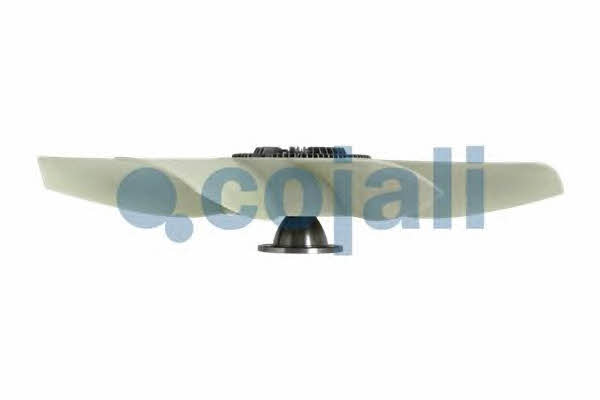 Вентилятор радіатора охолодження Cojali 7075101
