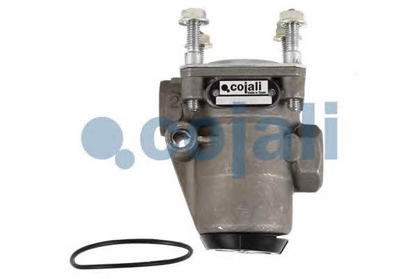 Купить Cojali 2223240 – отличная цена на EXIST.UA!