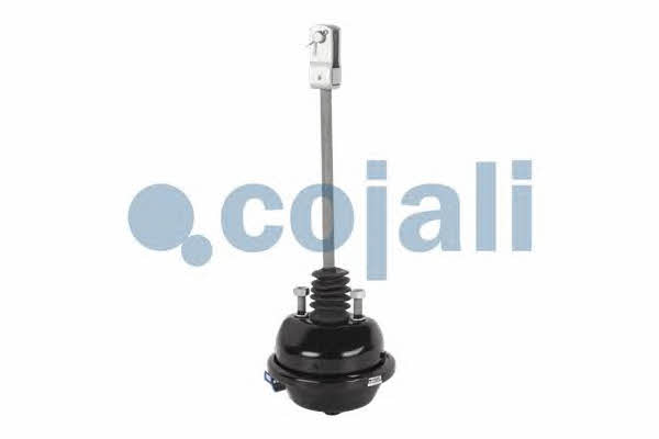 Пневматичний гальмівний циліндр Cojali 2251102