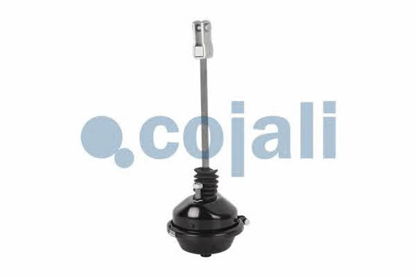 Купити Cojali 2251102 – суперціна на EXIST.UA!