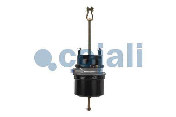 Цилиндр тормозной Cojali 2251503