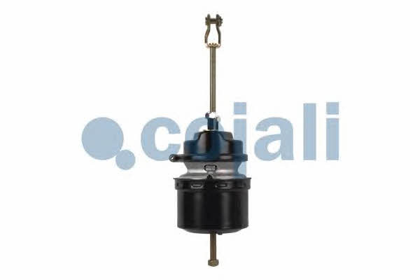 Купить Cojali 2251503 – отличная цена на EXIST.UA!