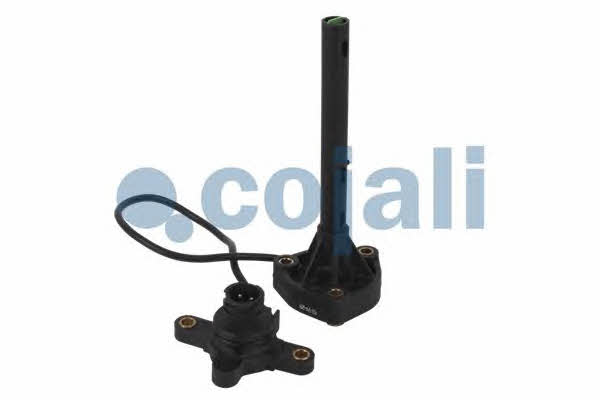 Купити Cojali 2260177 за низькою ціною в Україні!