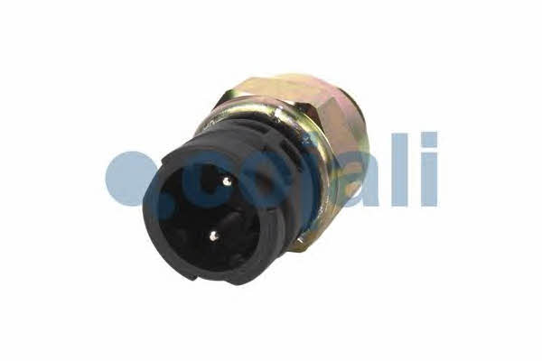 Купити Cojali 2260336 за низькою ціною в Україні!