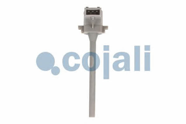 Купити Cojali 2260397 за низькою ціною в Україні!