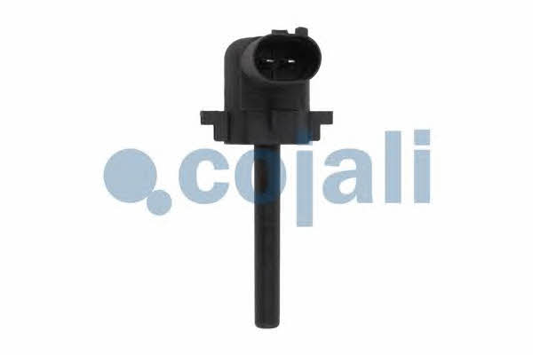 Купити Cojali 2260398 за низькою ціною в Україні!