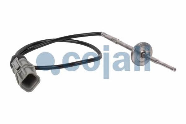 2260399 Cojali Датчик температури масла в двигуні