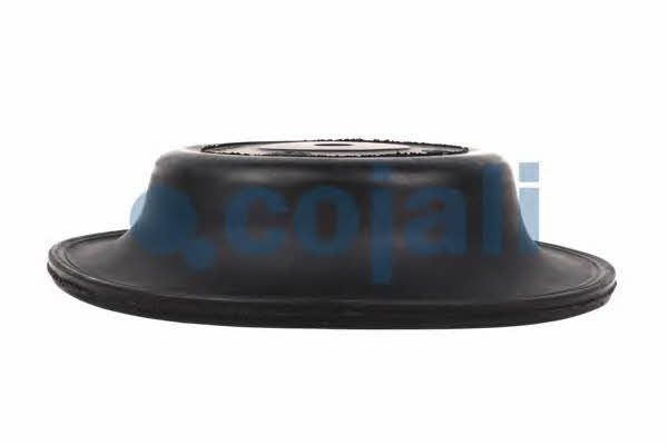Купити Cojali 6001120 за низькою ціною в Україні!