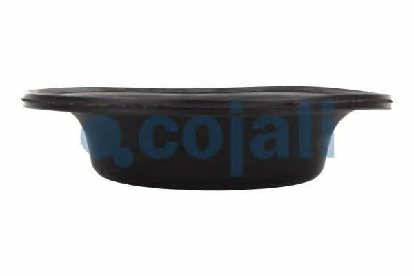 Купити Cojali 6001120 – суперціна на EXIST.UA!