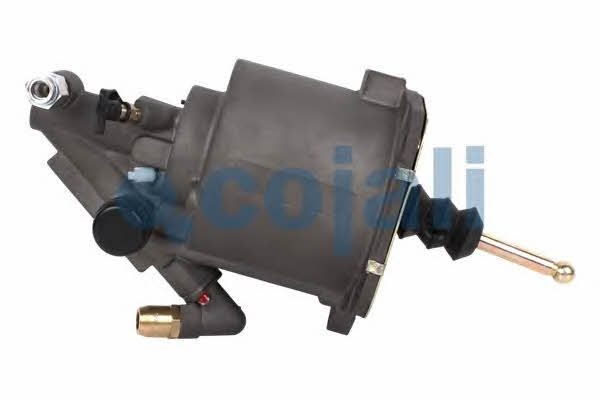 Купити Cojali 2550304 за низькою ціною в Україні!