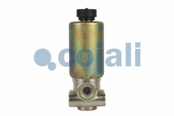 Купить Cojali 2218205 – отличная цена на EXIST.UA!