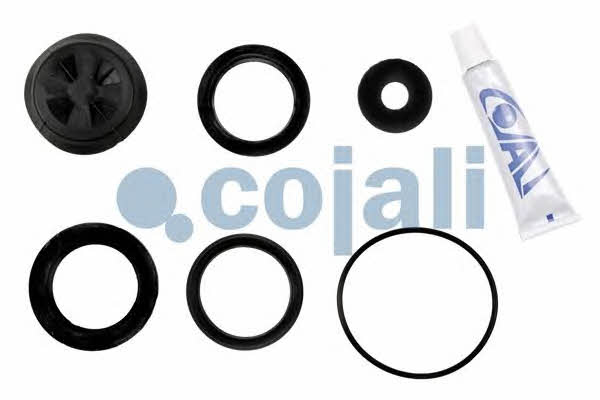 Купити Cojali 6012182 за низькою ціною в Україні!