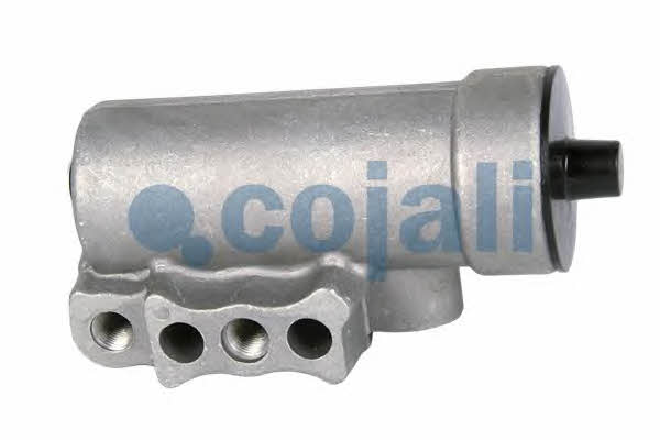 Купить Cojali 2628103 по низкой цене в Украине!